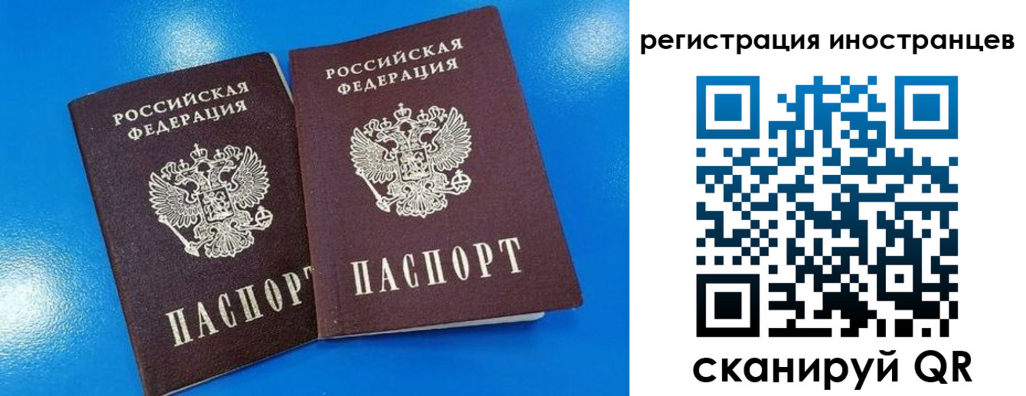 временная регистрация поиск в Благодарном