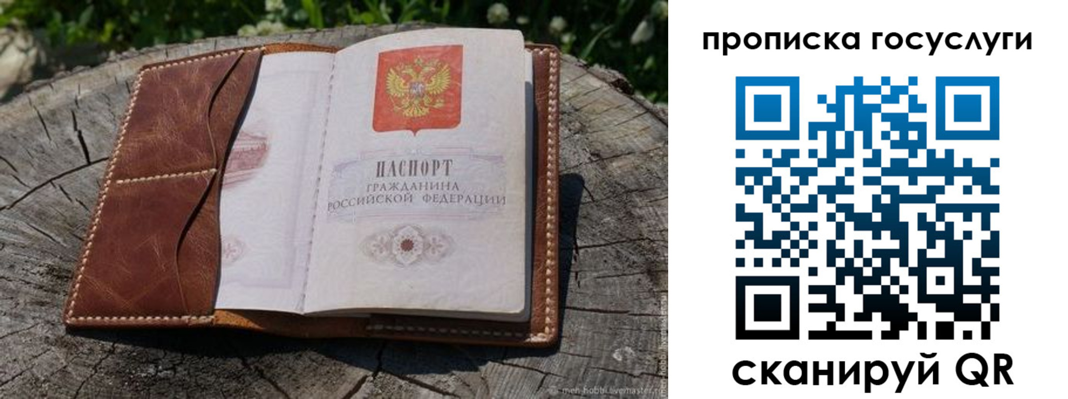 прописка для школы в Благодарном